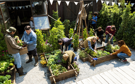 group of people working in community garden